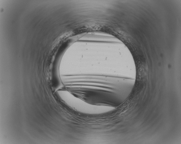 X0000067910693200605111943