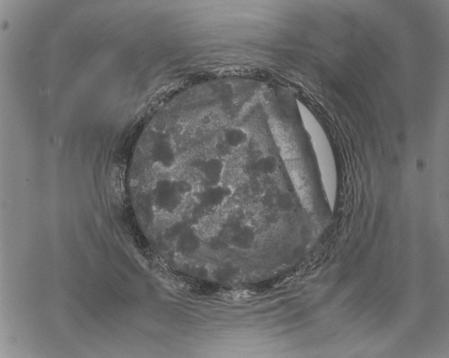 X0000067910695200605111943