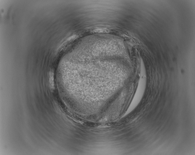 X0000067910696200605111943