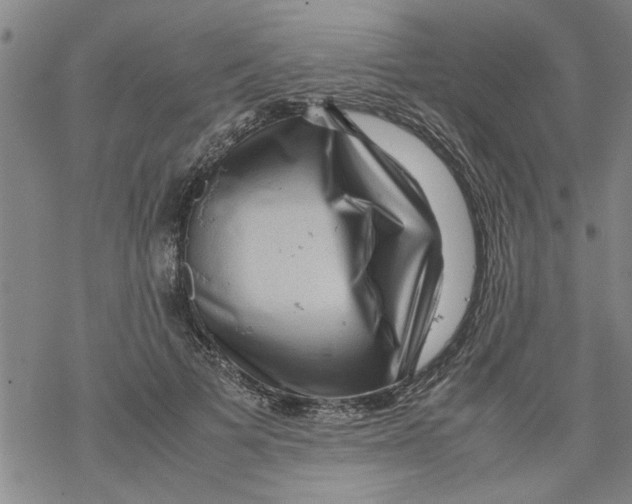 X0000067910697200605111943