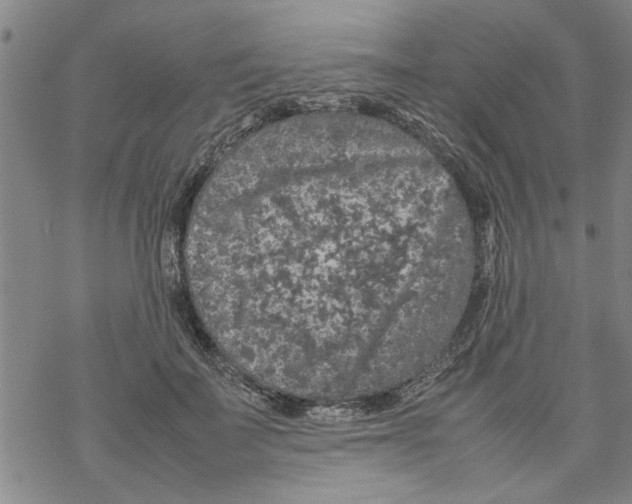 X0000067910699200605111943