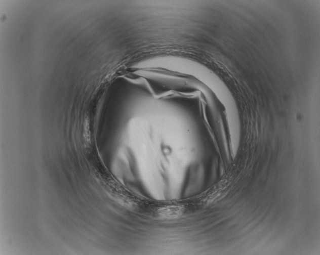 X0000067910700200605111943