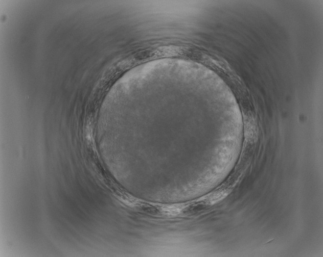 X0000067910701200605111943