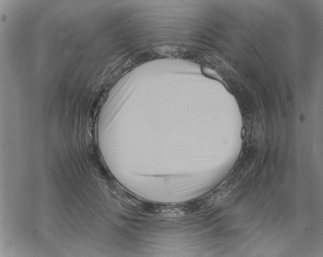 X0000067910702200605111943