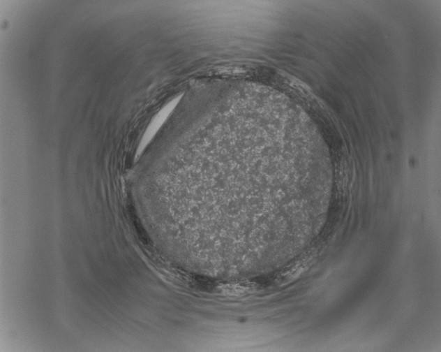 X0000067910703200605111943