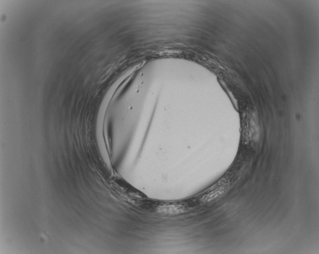 X0000067910704200605111943