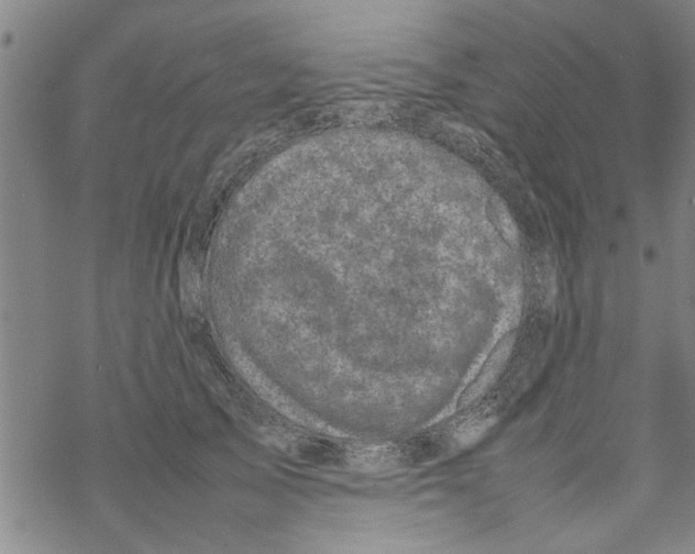 X0000067910705200605111943