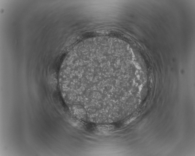 X0000067910707200605111943