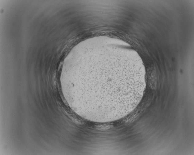 X0000067910708200605111943