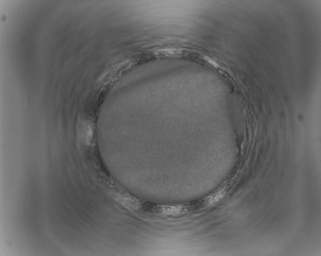 X0000067910709200605111943