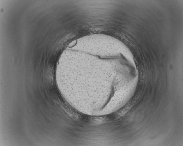 X0000067910710200605111943