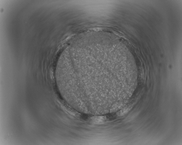 X0000067910711200605111943