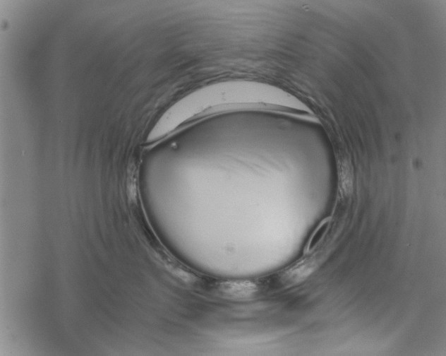 X0000067910719200605111943