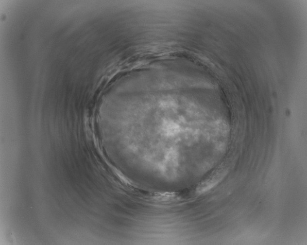 X0000067910720200605111943