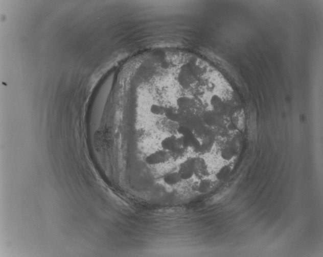 X0000067910721200605111942