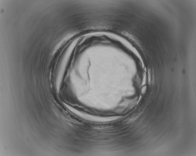 X0000067910723200605111942