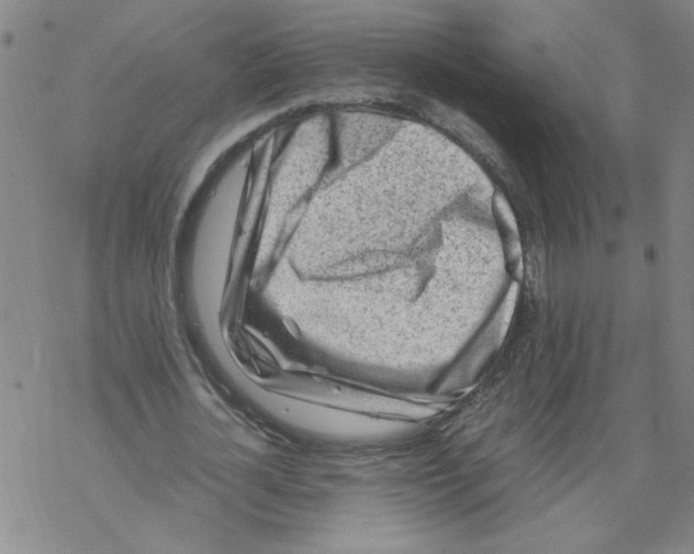 X0000067910724200605111942