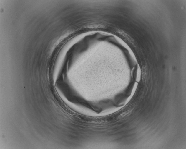 X0000067910727200605111942