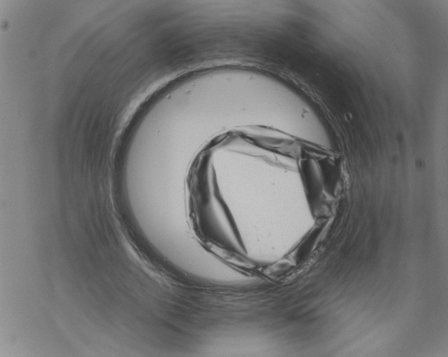 X0000067910728200605111942