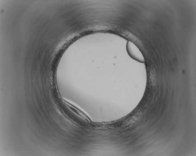 X0000067910732200605111942