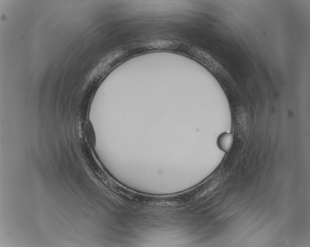 X0000067910734200605111942