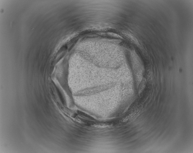 X0000067910736200605111942