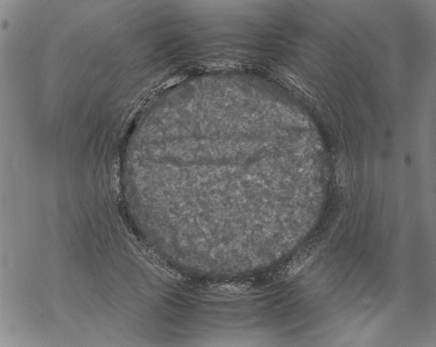 X0000067910737200605111942