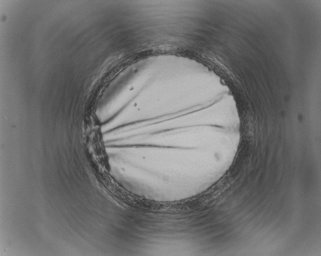 X0000067910738200605111942