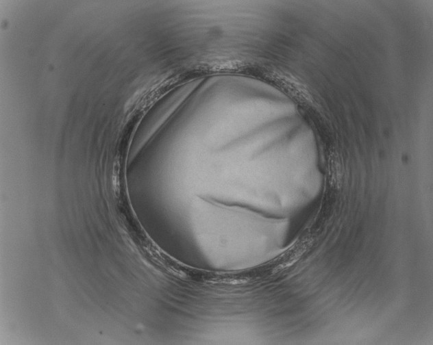 X0000067910740200605111942