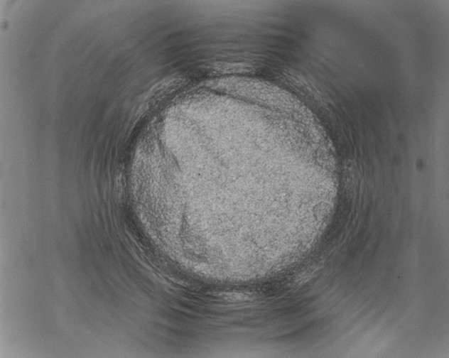 X0000067910741200605111942