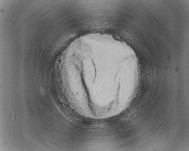 X0000067910742200605111942