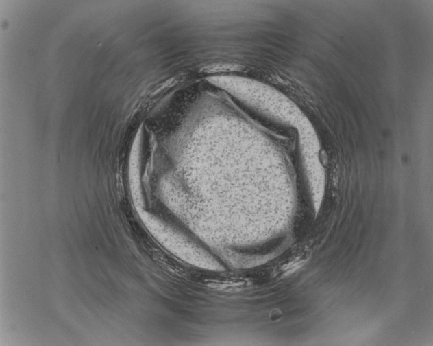 X0000067910743200605111942