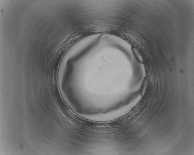 X0000067910744200605111942