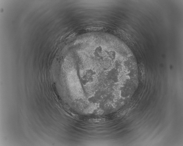 X0000067910745200605111942