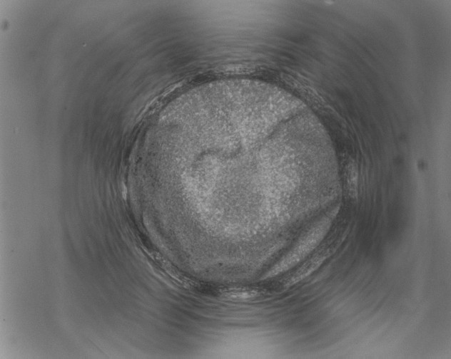 X0000067910746200605111942