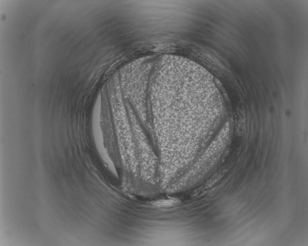 X0000067910748200605111942