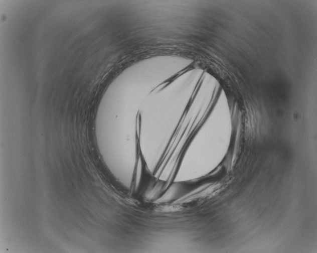 X0000067910750200605111942