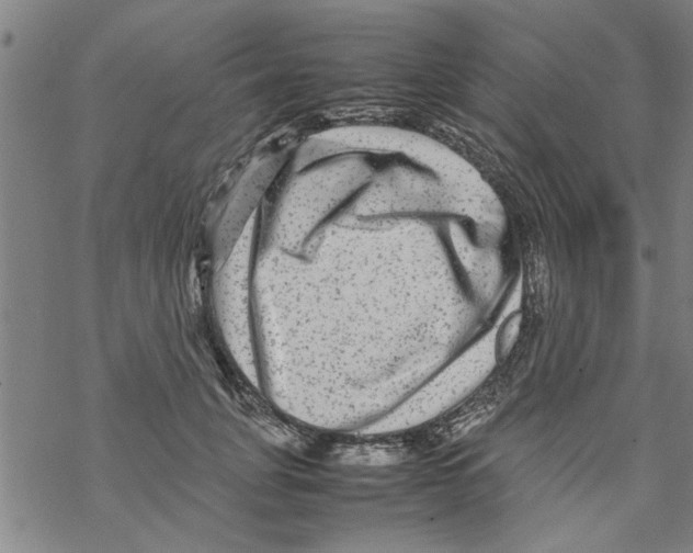 X0000067910751200605111942