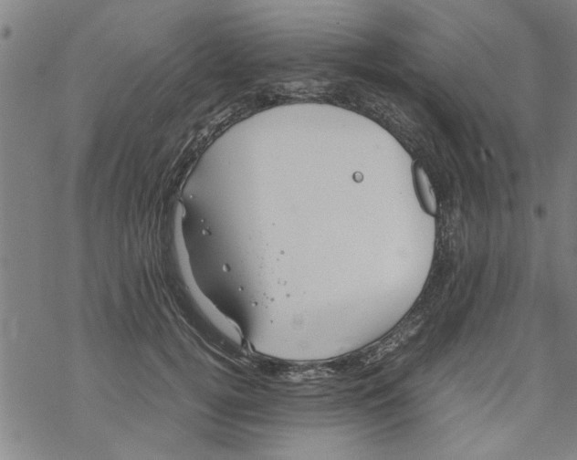 X0000067910752200605111942