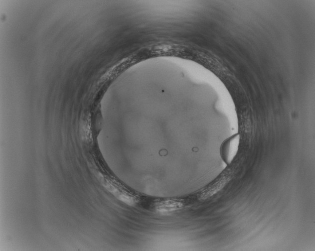 X0000067910754200605111942