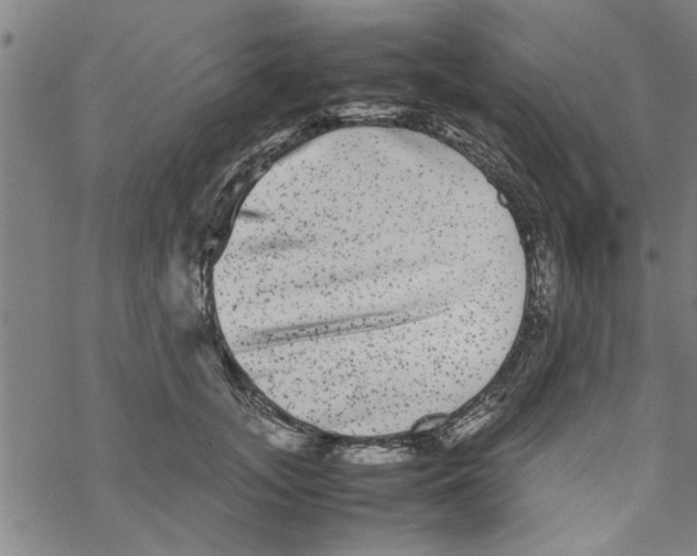 X0000067910755200605111942