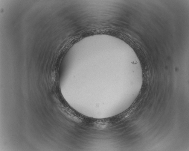 X0000067910756200605111942