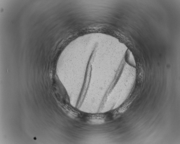 X0000067910758200605111942