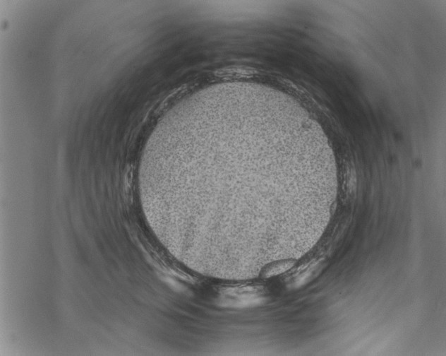 X0000067910759200605111942