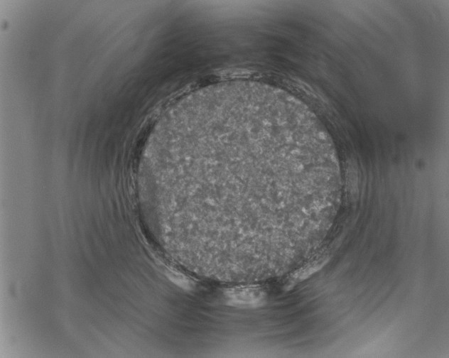 X0000067910761200605111942