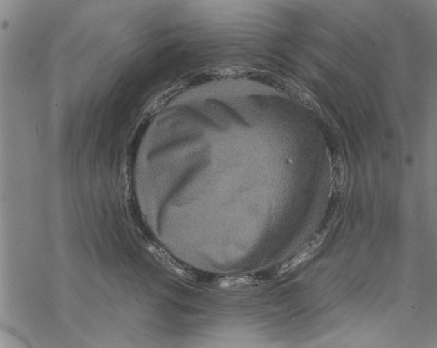 X0000067910762200605111942