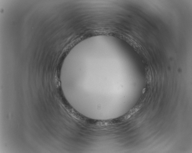 X0000067910764200605111942