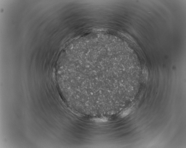 X0000067910765200605111942