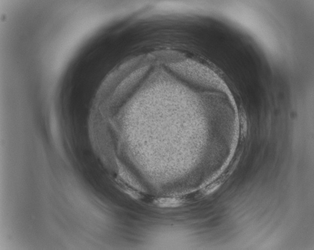 X0000067910766200605111942