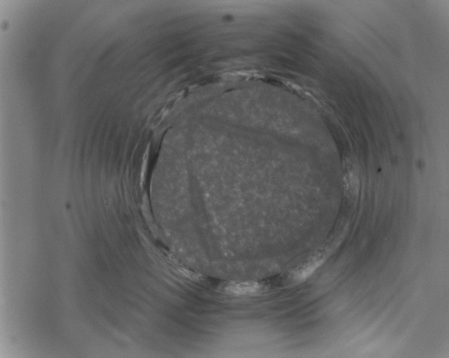 X0000067910767200605111942